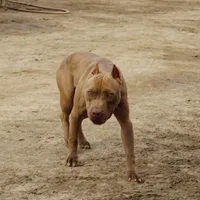 processed/7a981572-1810-469f-ba8f-cbfde4da56ba/facility/48426ad2-4bd1-4a1b-96c4-851528184e49