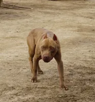 processed/7a981572-1810-469f-ba8f-cbfde4da56ba/facility/48426ad2-4bd1-4a1b-96c4-851528184e49