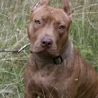 processed/7a981572-1810-469f-ba8f-cbfde4da56ba/facility/530bd4c8-bb8b-48c6-b9f0-c018af0926bc