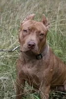 processed/7a981572-1810-469f-ba8f-cbfde4da56ba/facility/530bd4c8-bb8b-48c6-b9f0-c018af0926bc