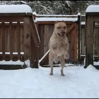 processed/7a981572-1810-469f-ba8f-cbfde4da56ba/facility/541801b9-ec6c-464d-9117-1cc0a54fb827