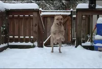 processed/7a981572-1810-469f-ba8f-cbfde4da56ba/facility/541801b9-ec6c-464d-9117-1cc0a54fb827