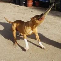 processed/7a981572-1810-469f-ba8f-cbfde4da56ba/facility/7208aa34-89c2-4f1e-a0dd-285d53370041