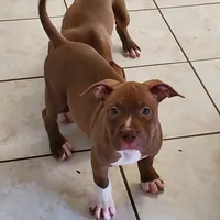 processed/7a981572-1810-469f-ba8f-cbfde4da56ba/facility/90f13d98-6152-4c24-93a7-74454a02ecf2