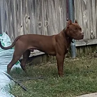 processed/7a981572-1810-469f-ba8f-cbfde4da56ba/facility/bba9e172-9c76-4810-b1ab-eb1fc6af289d