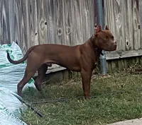 processed/7a981572-1810-469f-ba8f-cbfde4da56ba/facility/bba9e172-9c76-4810-b1ab-eb1fc6af289d