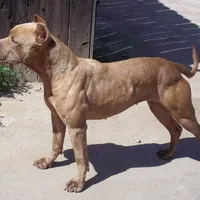 processed/7a981572-1810-469f-ba8f-cbfde4da56ba/facility/f1bb7e50-e09a-482f-820d-e227077afe7e