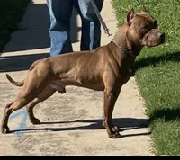 processed/7a981572-1810-469f-ba8f-cbfde4da56ba/listing/78dbe8f4-f7c5-4fbb-a580-478bdfc60088/62bb396f-e6f5-4f0b-b7c6-ea43c249e575