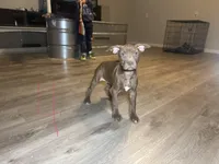 processed/7a981572-1810-469f-ba8f-cbfde4da56ba/listing/78dbe8f4-f7c5-4fbb-a580-478bdfc60088/77d78347-f705-4f6e-8347-68f40a0b8c6d