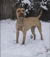 processed/7a981572-1810-469f-ba8f-cbfde4da56ba/listing/78dbe8f4-f7c5-4fbb-a580-478bdfc60088/7ef143a1-1bc3-4209-a440-5823689044c9