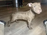 processed/7a981572-1810-469f-ba8f-cbfde4da56ba/listing/78dbe8f4-f7c5-4fbb-a580-478bdfc60088/bcd30cdc-c279-416b-beaa-5a3c914f0814