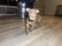 processed/7a981572-1810-469f-ba8f-cbfde4da56ba/listing/78dbe8f4-f7c5-4fbb-a580-478bdfc60088/c8112272-a2d3-4b31-8ed1-f95e2b6242fa