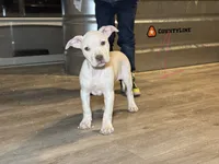 processed/7a981572-1810-469f-ba8f-cbfde4da56ba/listing/78dbe8f4-f7c5-4fbb-a580-478bdfc60088/d31839b0-0928-4b66-b96a-43dfab4ffced