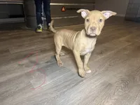 processed/7a981572-1810-469f-ba8f-cbfde4da56ba/listing/78dbe8f4-f7c5-4fbb-a580-478bdfc60088/dfe248ed-4d57-4836-b550-2e21baf3a2d6