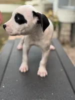 processed/7aa1be06-bc4e-4e06-8522-6ad0f817b976/listing/2b88a906-3000-4eb0-8092-6bae65eff7c2/03112988-1a33-4f68-94d4-d749e4f55c4d