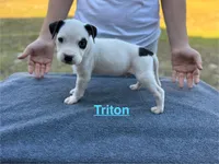 processed/7aa1be06-bc4e-4e06-8522-6ad0f817b976/listing/2b88a906-3000-4eb0-8092-6bae65eff7c2/220b81c7-d2c6-4982-aa2c-520ecc0fe02b