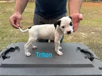 processed/7aa1be06-bc4e-4e06-8522-6ad0f817b976/listing/2b88a906-3000-4eb0-8092-6bae65eff7c2/91ac9b43-5db5-4568-8d6f-84d3280b1c3c