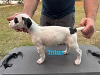 processed/7aa1be06-bc4e-4e06-8522-6ad0f817b976/listing/2b88a906-3000-4eb0-8092-6bae65eff7c2/92919436-bdf1-4ec4-90e2-267791d5a972