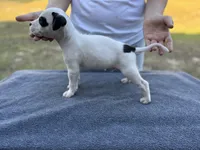 processed/7aa1be06-bc4e-4e06-8522-6ad0f817b976/listing/2b88a906-3000-4eb0-8092-6bae65eff7c2/b33561c2-3cdf-40d2-8fad-e67759abf3cb