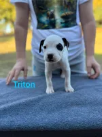 processed/7aa1be06-bc4e-4e06-8522-6ad0f817b976/listing/2b88a906-3000-4eb0-8092-6bae65eff7c2/febed847-419c-44ac-9252-80dad471be2f