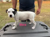 processed/7aa1be06-bc4e-4e06-8522-6ad0f817b976/listing/308cd108-1cfd-4dfb-905c-683fdafa4431/0214064b-b14c-4dcd-9875-22e523165984