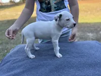 processed/7aa1be06-bc4e-4e06-8522-6ad0f817b976/listing/308cd108-1cfd-4dfb-905c-683fdafa4431/a27f82ed-b08f-4350-8378-34cd3d961cfe