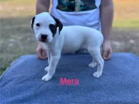 processed/7aa1be06-bc4e-4e06-8522-6ad0f817b976/listing/308cd108-1cfd-4dfb-905c-683fdafa4431/af8b37ef-e93b-4551-a425-158fe740489a