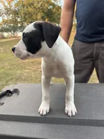 processed/7aa1be06-bc4e-4e06-8522-6ad0f817b976/listing/308cd108-1cfd-4dfb-905c-683fdafa4431/d0447989-5840-4e33-94eb-fd6058d8d5c2