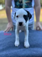 processed/7aa1be06-bc4e-4e06-8522-6ad0f817b976/listing/308cd108-1cfd-4dfb-905c-683fdafa4431/d39f94ef-3934-4a3c-87b4-31196baaf7f1