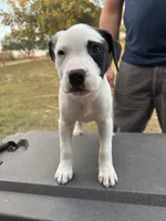 processed/7aa1be06-bc4e-4e06-8522-6ad0f817b976/listing/308cd108-1cfd-4dfb-905c-683fdafa4431/f4de6aae-41e3-494c-b0fc-174756d5e30e