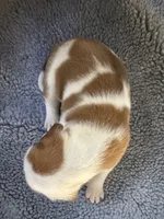 processed/7aa1be06-bc4e-4e06-8522-6ad0f817b976/listing/85e32754-be7e-455c-8060-473ab0f9ff41/0b27fd96-d719-4635-8425-f50851f8219d