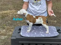 processed/7aa1be06-bc4e-4e06-8522-6ad0f817b976/listing/85e32754-be7e-455c-8060-473ab0f9ff41/3209bd30-9bb2-408a-b49a-87e7f1f12b8d