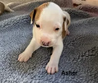 processed/7aa1be06-bc4e-4e06-8522-6ad0f817b976/listing/85e32754-be7e-455c-8060-473ab0f9ff41/7b5a32d3-a4b3-413b-b524-d44657f3739e