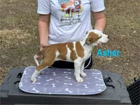 processed/7aa1be06-bc4e-4e06-8522-6ad0f817b976/listing/85e32754-be7e-455c-8060-473ab0f9ff41/c1105c9f-45db-4dc5-bf48-aadad6a3ca26