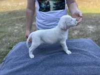 processed/7aa1be06-bc4e-4e06-8522-6ad0f817b976/listing/8c858c86-6401-438e-afef-9843d5945319/72e953c8-7604-4e26-af4f-0ff22051f3e2