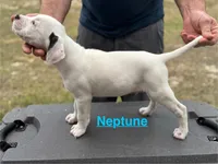 processed/7aa1be06-bc4e-4e06-8522-6ad0f817b976/listing/8c858c86-6401-438e-afef-9843d5945319/db5d955f-55be-4a09-ab65-203cd26e1d70