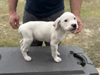 processed/7aa1be06-bc4e-4e06-8522-6ad0f817b976/listing/8c858c86-6401-438e-afef-9843d5945319/e56b600a-b501-4c08-aedd-97fac8a1520e