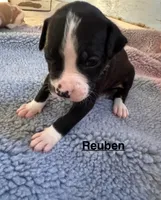 processed/7aa1be06-bc4e-4e06-8522-6ad0f817b976/listing/94541260-6aa4-4f1b-bcc3-420d93d4454c/35c6f025-1573-4f57-bb63-c1080a3fd374