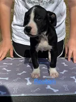 processed/7aa1be06-bc4e-4e06-8522-6ad0f817b976/listing/94541260-6aa4-4f1b-bcc3-420d93d4454c/3a632c05-159f-4c68-b7f8-a2c19a510272