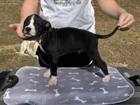 processed/7aa1be06-bc4e-4e06-8522-6ad0f817b976/listing/94541260-6aa4-4f1b-bcc3-420d93d4454c/62caf3ca-30e6-4957-9b5b-93b553b910cb