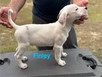 processed/7aa1be06-bc4e-4e06-8522-6ad0f817b976/listing/946a12aa-6e98-4056-836a-1d5aa341b12c/08e68f54-bf99-45f0-b40c-0354ea1601f2