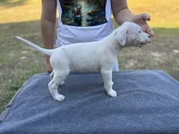 processed/7aa1be06-bc4e-4e06-8522-6ad0f817b976/listing/946a12aa-6e98-4056-836a-1d5aa341b12c/099d3308-63aa-46f4-a383-a482c20136c5