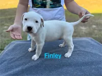 processed/7aa1be06-bc4e-4e06-8522-6ad0f817b976/listing/946a12aa-6e98-4056-836a-1d5aa341b12c/29873328-a790-4960-b0eb-fdefa9ac7c19