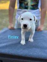 processed/7aa1be06-bc4e-4e06-8522-6ad0f817b976/listing/946a12aa-6e98-4056-836a-1d5aa341b12c/5b4b81b4-def3-4fae-9316-ee04c1e9e6a2