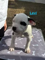 processed/7aa1be06-bc4e-4e06-8522-6ad0f817b976/listing/9bde7205-891a-44ad-8b24-9a529fd3efc0/0891357a-8a9d-4e5a-9393-1962fe917d46