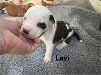 processed/7aa1be06-bc4e-4e06-8522-6ad0f817b976/listing/9bde7205-891a-44ad-8b24-9a529fd3efc0/0f6400a7-4431-43bc-907d-77787bb9e58e