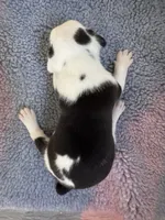 processed/7aa1be06-bc4e-4e06-8522-6ad0f817b976/listing/9bde7205-891a-44ad-8b24-9a529fd3efc0/2572011e-c9fa-4343-ba54-2db5b43ef6b9