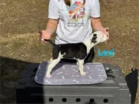 processed/7aa1be06-bc4e-4e06-8522-6ad0f817b976/listing/9bde7205-891a-44ad-8b24-9a529fd3efc0/6013690c-ba90-4f03-a4a3-c51968d8dafd