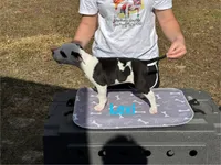 processed/7aa1be06-bc4e-4e06-8522-6ad0f817b976/listing/9bde7205-891a-44ad-8b24-9a529fd3efc0/b547cfb5-ba9b-44a2-9033-f94f6e039eec