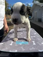 processed/7aa1be06-bc4e-4e06-8522-6ad0f817b976/listing/adfa495d-4a40-4246-a220-0e24f4a103a1/39392a21-1068-4f14-9072-7bd301016dc6